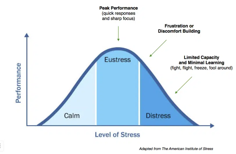 eustres i dystres rodzaje stresu.png